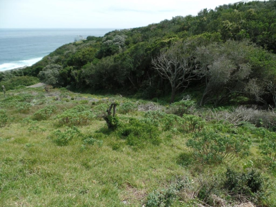 0 Bedroom Property for Sale in Eersterivierstrand Eastern Cape